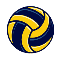 volleyball-ball