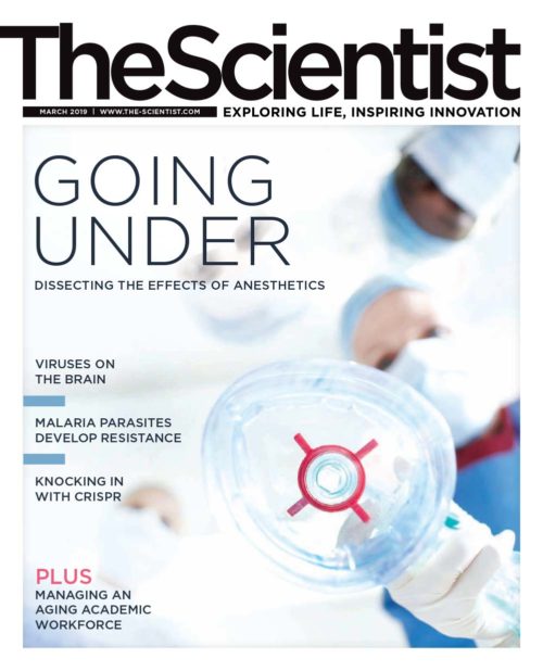 79 - The Scientist - March 2019-cover
